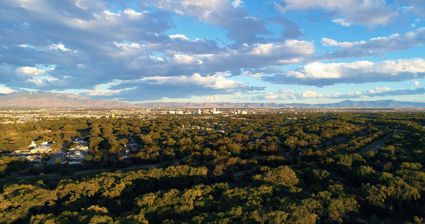 Downtown Albuquerque from the Rio Grande
