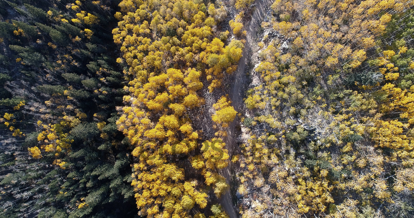 Vídeo: Santa Fe Aspen Trail (vista aérea)