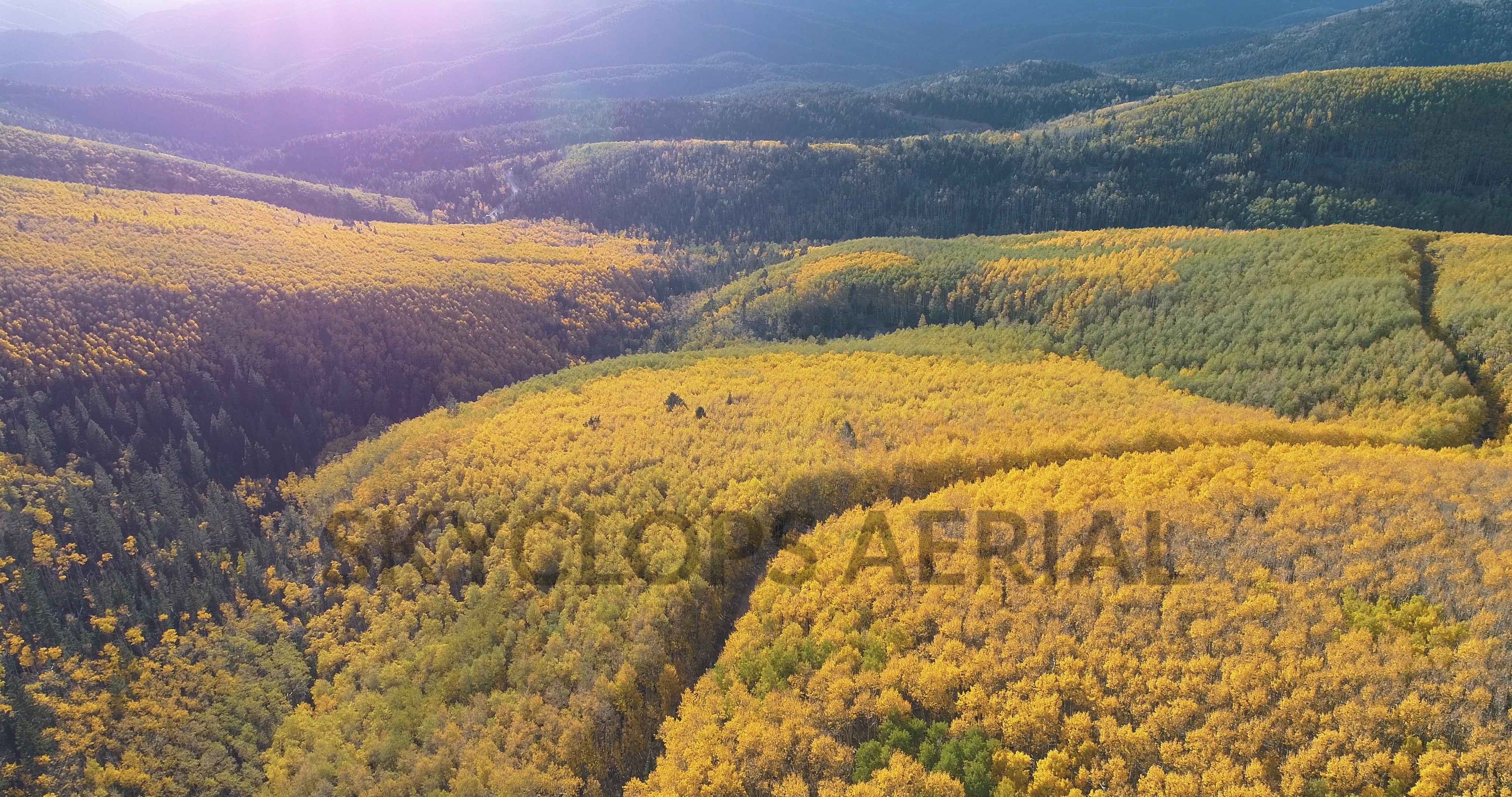 Stock video of Fall colors in the aspen forests on the Santa Fe Mountain near Santa Fe, New Mexico